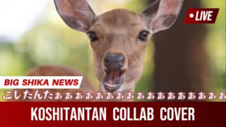 【ゆゆ丸×惨】シカ色デイズ/ cover【しかのこのこのこ】