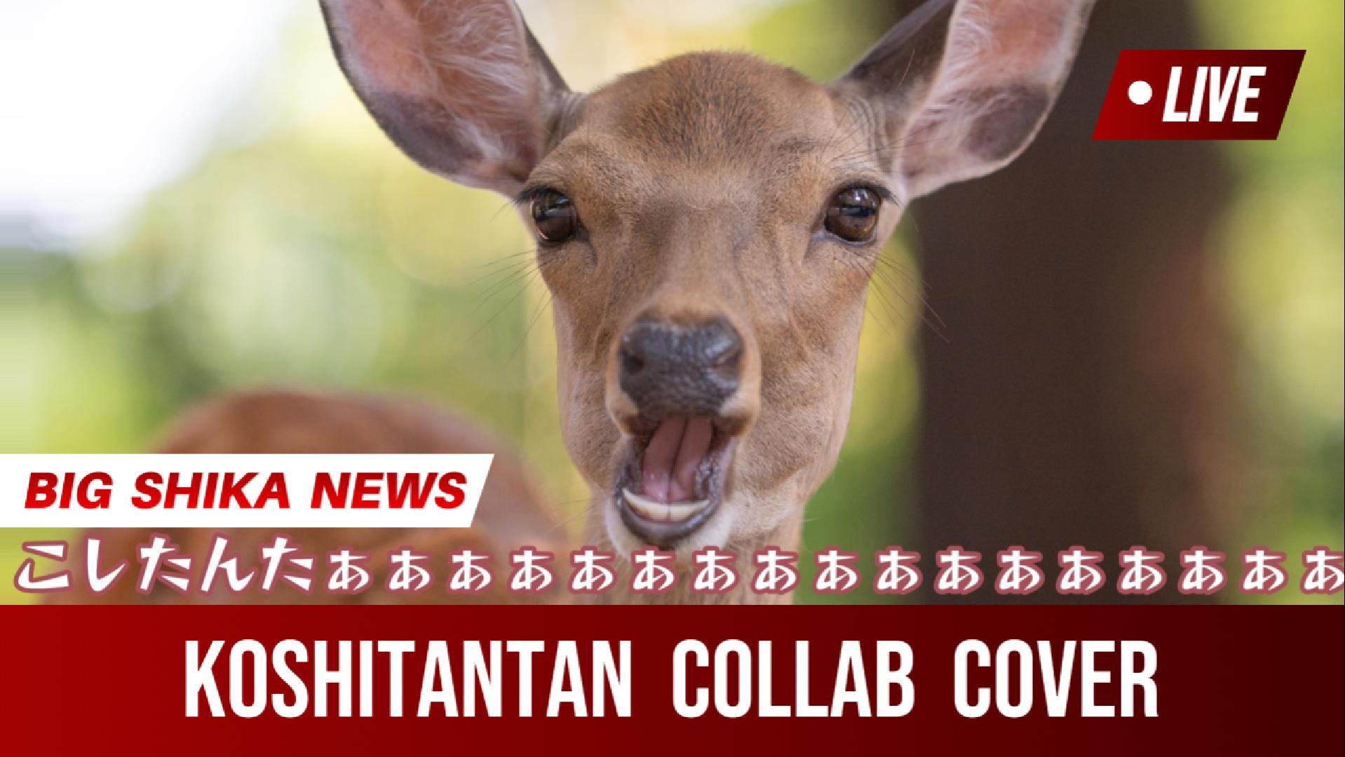 2024/08 明花 優（ゆゆ丸）様からのご依頼