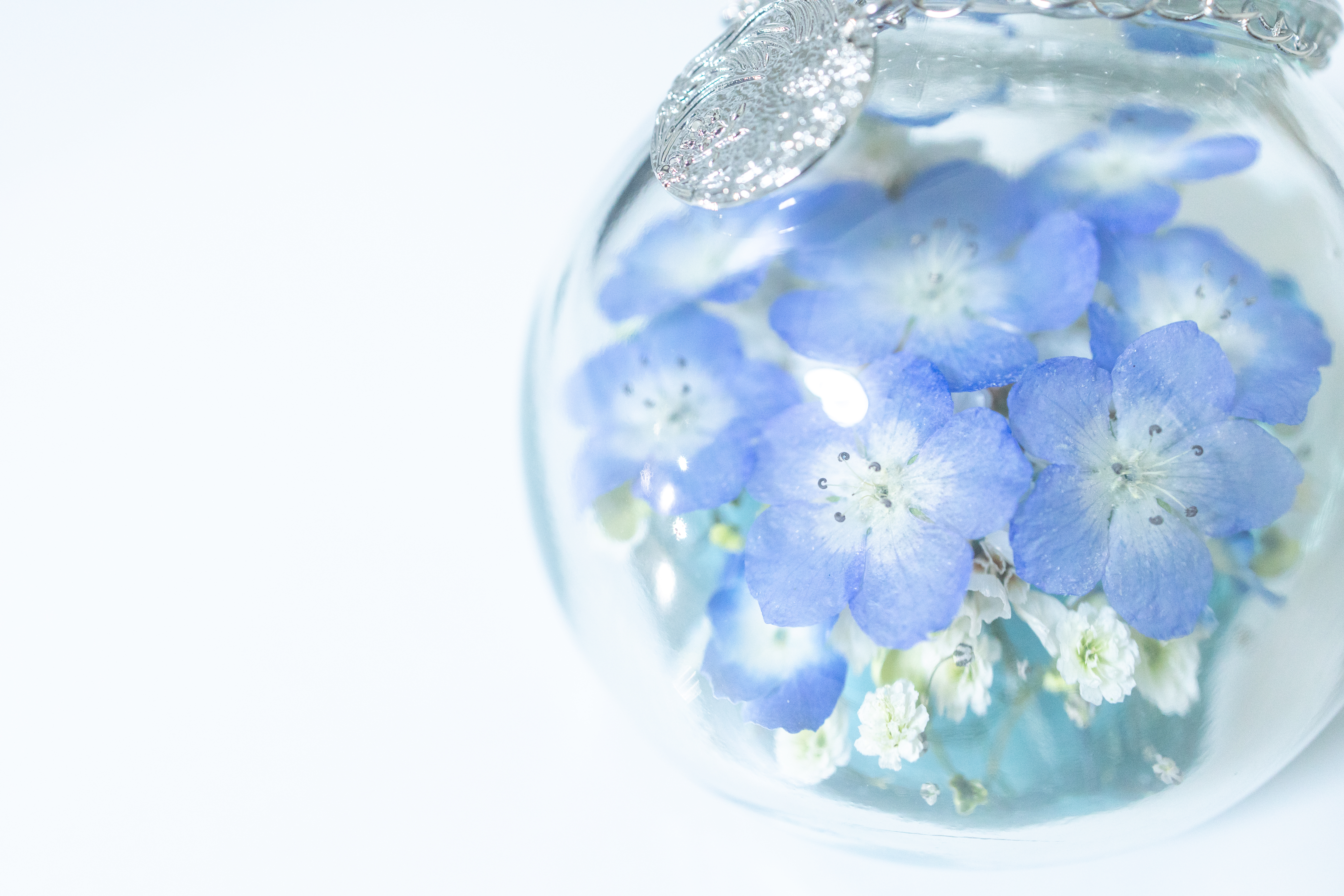 2024/11 Shirogaruvi様からのご依頼