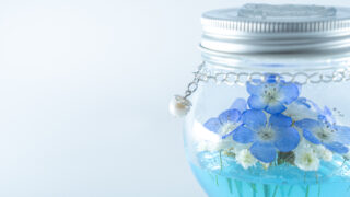 【本物のネモフィラ】Round Nemophila